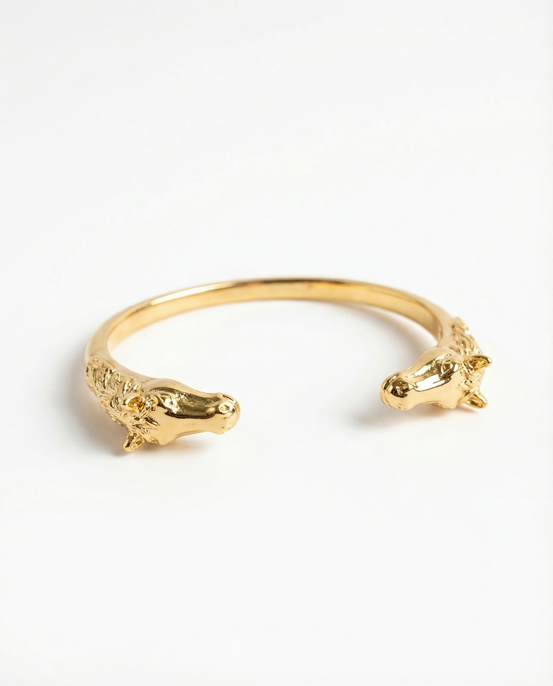 Jonc PEGASE - Selection JAGH