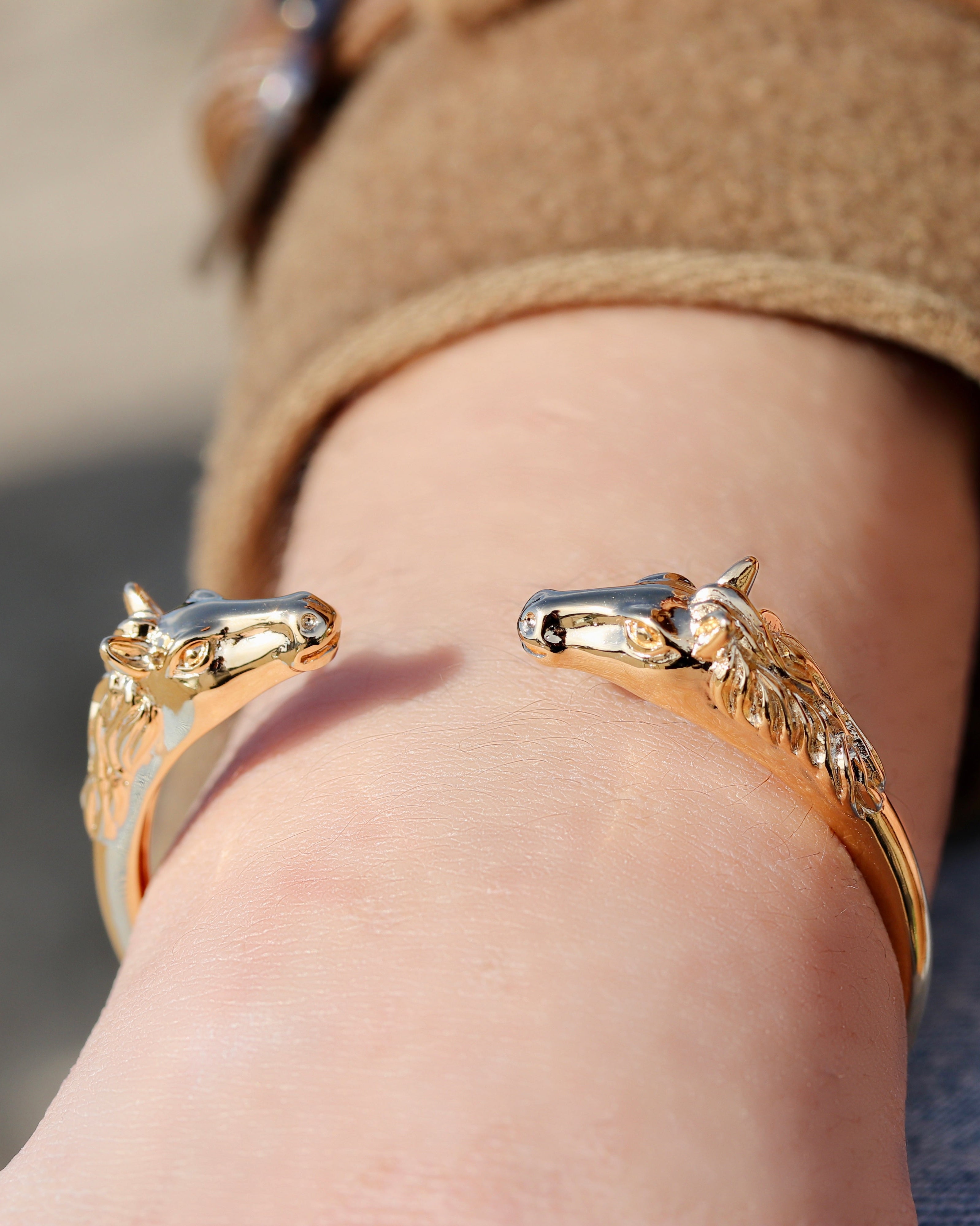 Jonc PEGASE - Selection JAGH